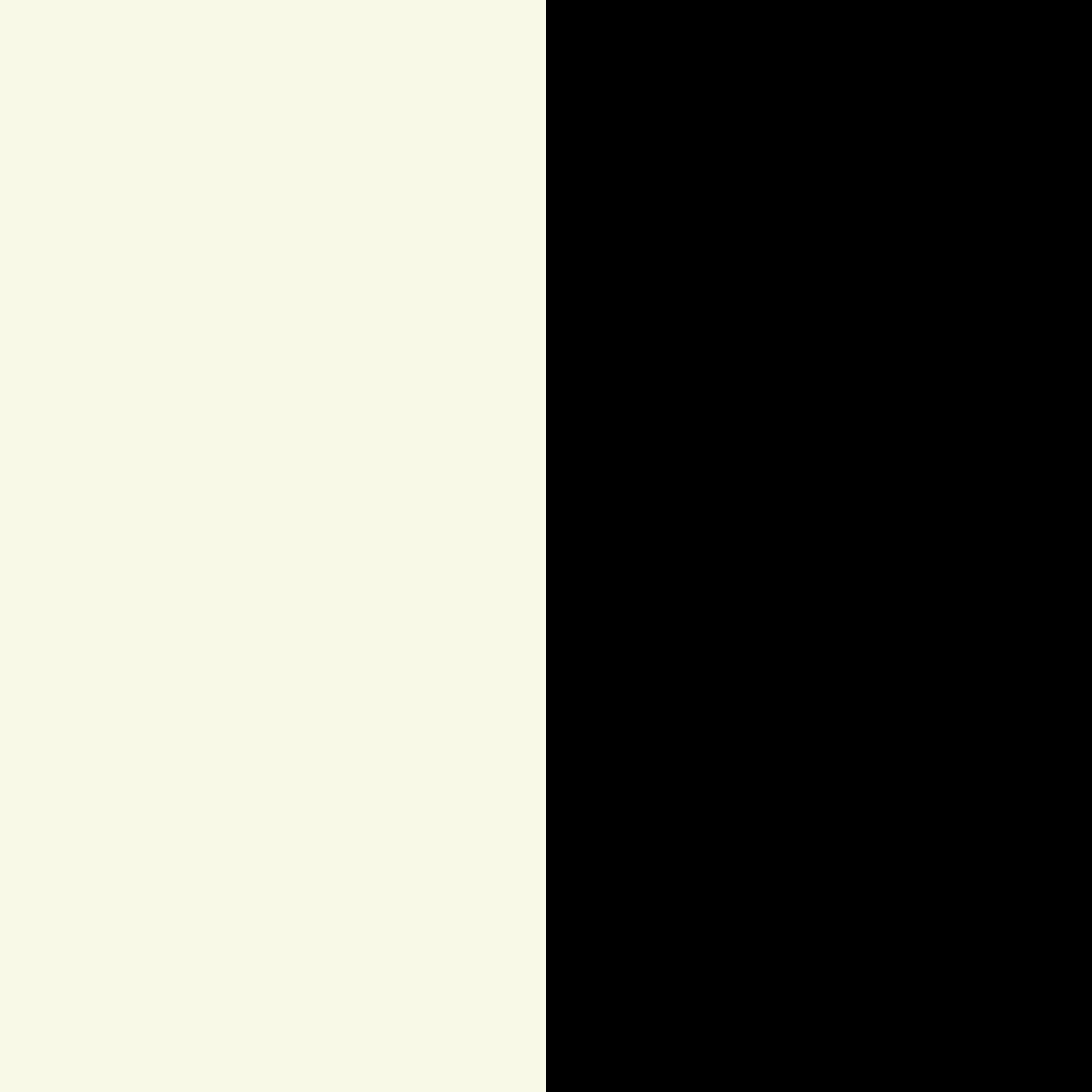 PRE ORDER - PALOMA DRESS B&W